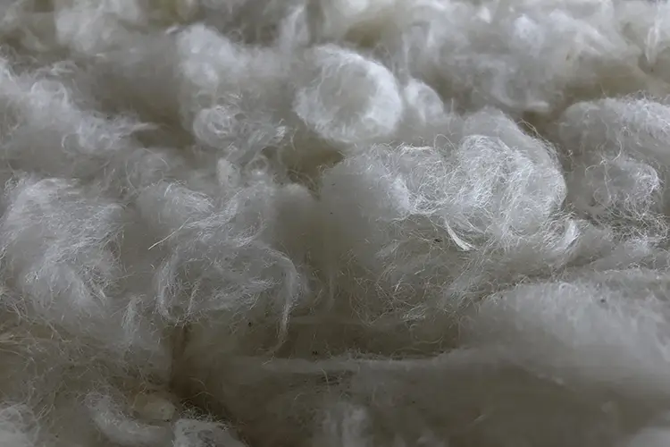 trattamenti-tessili-su-lana-e-fibre-naturali